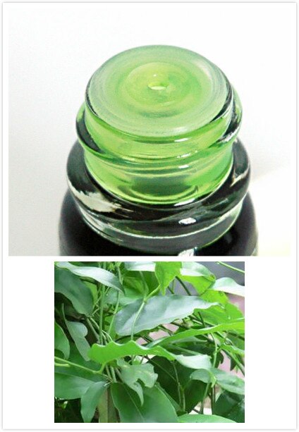 New Thai Herbal Massage Yanang Leaf Balm Oil Relief Paralysis Muscle Pain Sprains Free Shipping