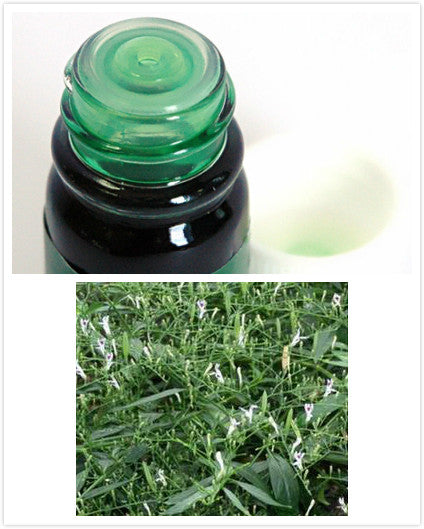 New Thai Herbal Massage Kariyat Balm Oil Relief Paralysis Muscle, Bone Joint Pain Free Shipping